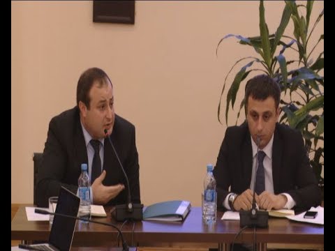 გამომძიებლებისა და პროკურორის განსხვავებული ვერსიები  ხორავას ქუჩის მკვლელობის საქმეზე