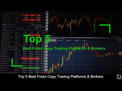 TOP 5 BEST Forex Copy Trading Platforms & Brokers (revealed ) 🔎