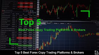 korea verbietet krypto-handel was ist das copy-trading?