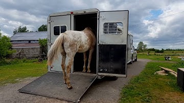 Trailer loading with the clicker