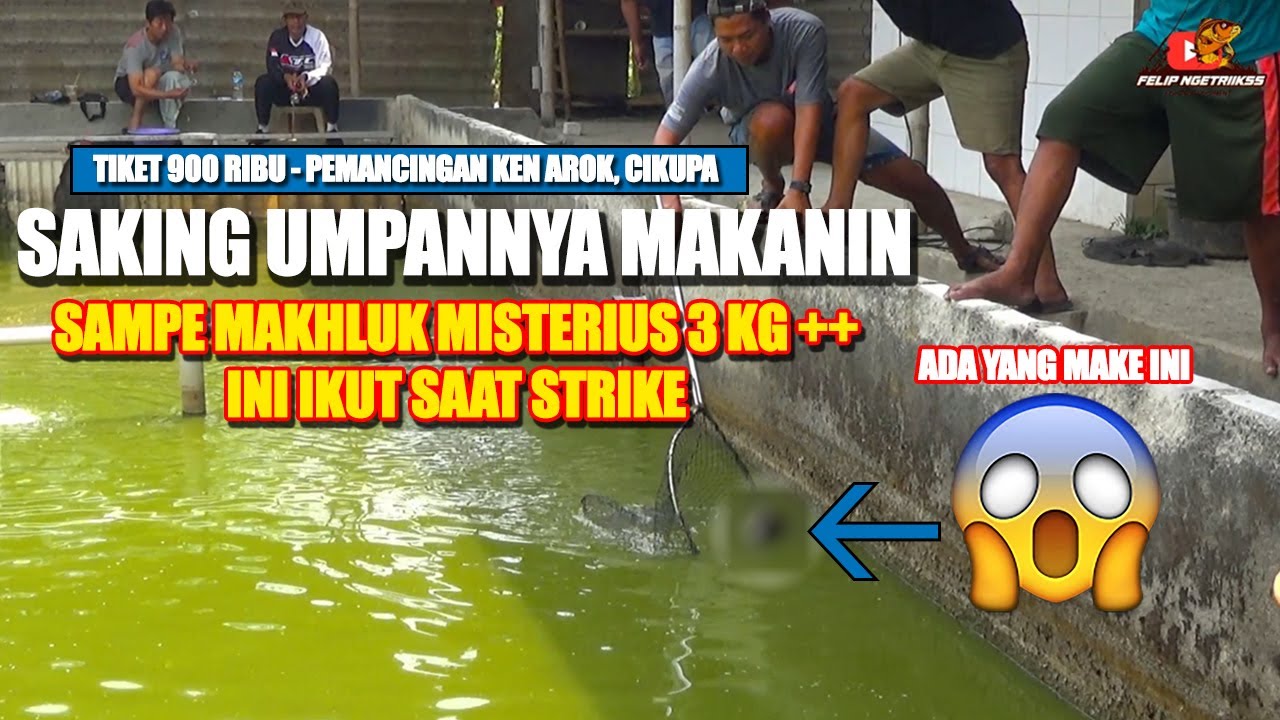 ADA YANG MAKE INI MAH, SAMPE MAKHLUK TIDAK DIKENAL PUN STRIKE‼️ DI SEROK DARI DEPAN