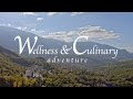 Food Tours in Italy: Wellness & Culinary Adventure | Abruzzo Cibus