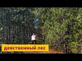 Пикник в Сухая Балка | Девственный лес | На педалях