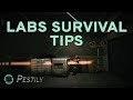 Labs Survival Tips - Escape from Tarkov