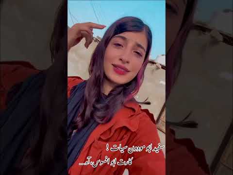 سفید ابو مودون سیات جنوب ایران بندر  بندرعباس