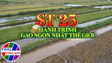 Ký sự truyền hình: ST25 - Hành trình đi tìm gạo ngon nhất thế giới