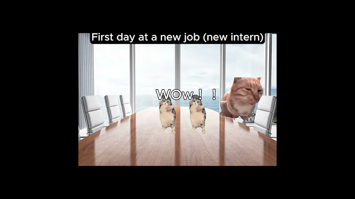 Video 10228261: international cat, cat first, funnycats