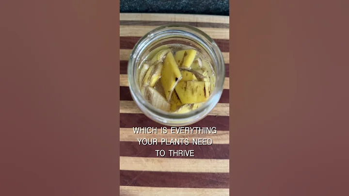 Do not throw out banana peels!  #banana #health #plants