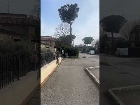 ويك ويك اختي راني باغا غا نغوت