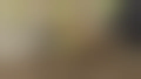 How To Keep Weeds From Growing Using Sheet Mulch