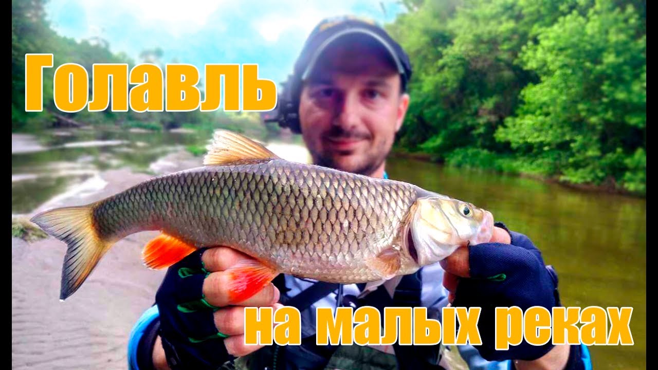 ОГРОМНЫЕ ГОЛАВЛИ НА МИКРОРЕЧКЕ! - YouTube