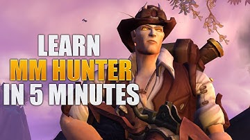 The BEST Quick Guide for MM Hunter In Dragonflight Patch 10.0
