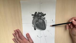 Sequence of decoding and analysis of the electrocardiogram