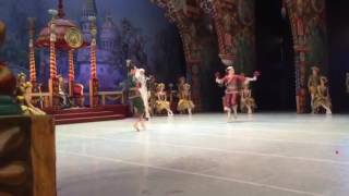 Patricia Zhou of Staatsballett Berlin in Nutcracker