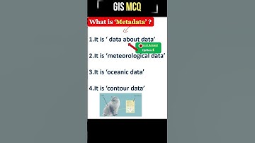 What is Metadata | Metadata in GIS in HINDI URDU #GIS #SHORTS