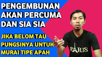 akan percuma pengembunan murai batu jika tidak tau karakternya
