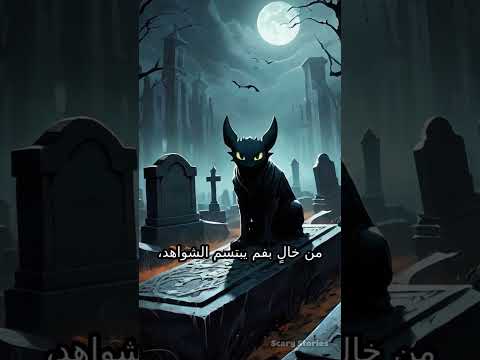 أكاليل منتصف الليل المرعبة  علم النفس  حكمة اليوم حكمة اليوم 