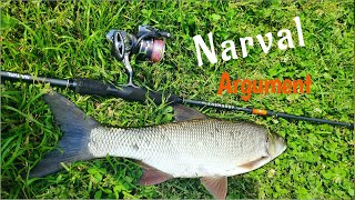 : Narval -   Argument?