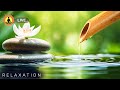 🔴 Relaxing Zen Music 24/7, Stress Relief Music, Sleep Music, Meditation Music, Study, Nature Sounds