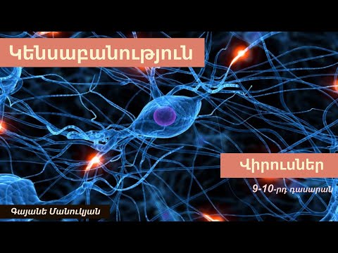 Video: Վիրուսներ