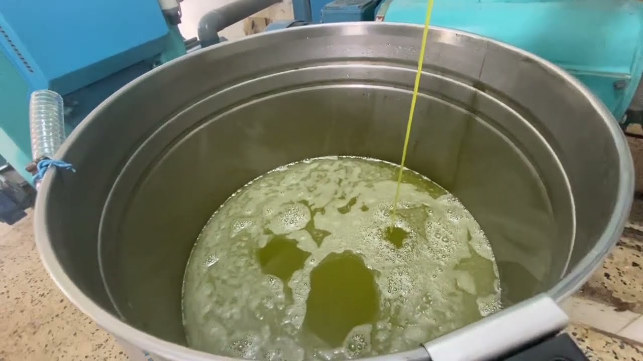 Production Of Olive Oil In Tunisia YouTube Production Of Olive Oil In Tunisia YouTube