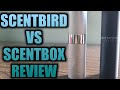 SCENTBIRD VS SCENTBOX REVIEW | WHICH IS THE BEST FRAGRANCE SUBSCRIPTION BOX