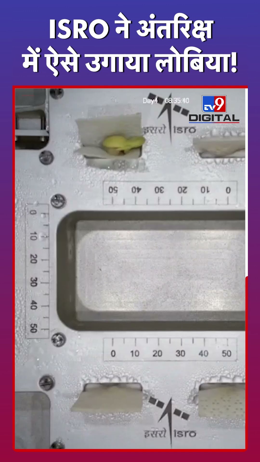 ISRO ने अंतरिक्ष में कैसे उगा दिया लोबिया, चौंक गई दुनिया #tv9d