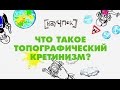 Что такое топографический кретинизм? - Научпок