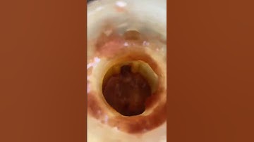 Blown head gasket symptoms | #auto #mechanic #DIY