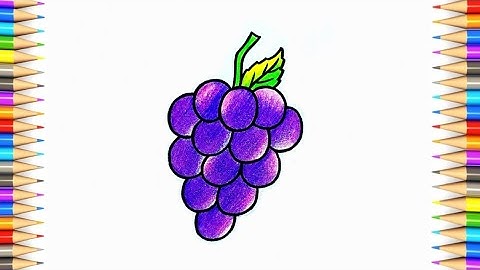 Grapes Drawing || How to Draw Grapes Step by Step || Easy Grapes Drawing Colour..