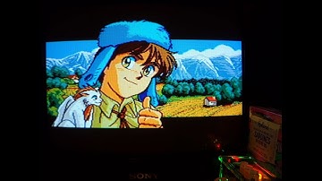 【Sega CD】Lunar: The Silver Star (NA) | LUNAR ザ・シルバースター ~OP Eng ver.  [ LUNAR ] //MiSTer FPGA Y/C CRT