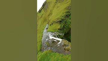 ادعم و انشر المقطع فالدال على الخير كفاعله 🤍 #القرآن_الكريم #تلاوات #اكسبلور #قران_كريم