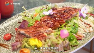 Vista Cruises 长江行游轮