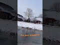 Откуда берутся люди  #memes #bublyk608 #юмор #прикол #шутки #стетхем #зима #2026 #1million #shorts