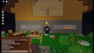 All the new roblox promocodes!