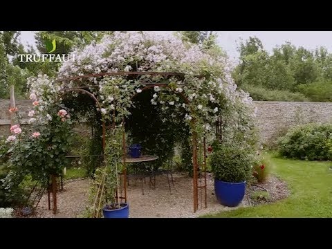 Vidéo: Pergolas Pour Rosiers (31 Photos): Pour Un Rosier Grimpant Et Grimpant, Une Pergola En Bois De Vos Propres Mains, Des Modèles En Métal Forgé