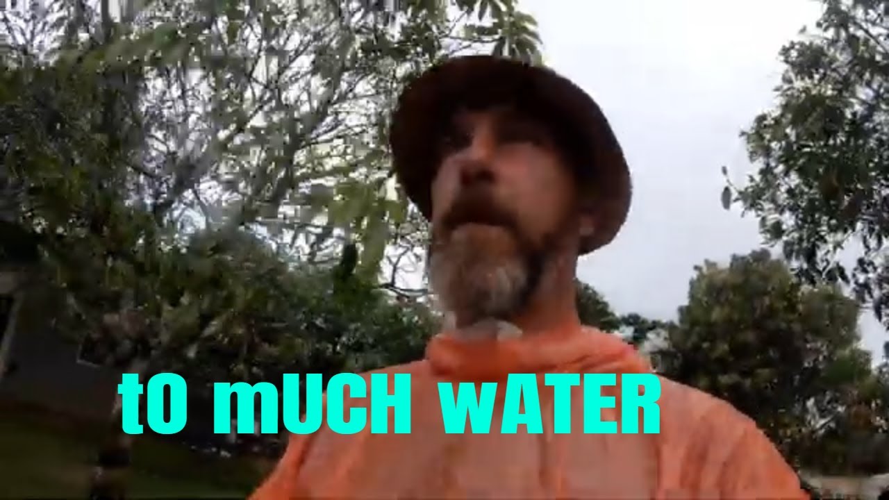 To Much Water - Nipe Adventure - EP 83