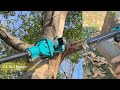 2-in-1 pole saw include a chainsaw and a telescopic pole to provide a versatile tool for gardening.