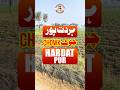 Very Famous Hardatpur Chowk And Villages Of Pakpattan #HardatPur #Chowk #village #pakpattan #desi