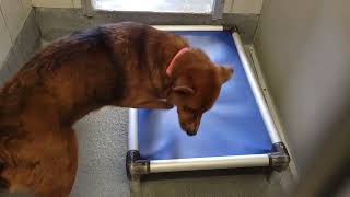 acs A671099