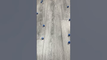 Game Dice Reverse Video