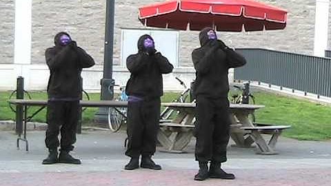 SLB Dickinson College Colony - Alpha Line Probate Part 2