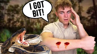 CAPTURING WILD REPTILES IN THE EVERGLADES AT NIGHT! "It bit me!"