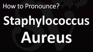 How to Pronounce Staphylococcus Aureus? (CORRECTLY)