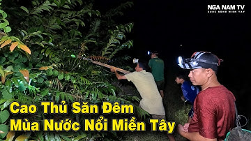 Cao Thủ Săn Bắt Chuột, Bắt Rắn Đêm Mùa Mưa Bão Đầy Kịch Tính/Catch The Mouse/NGÃ NĂM TV