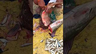 Wow!! Tagina fish cutting skills in india 😱🇮🇳 local market 😱#shorts