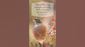 #Jesus #Spring #springtime #birds #bird #peace #calm #nature #robin #faith #floral #believe #hope