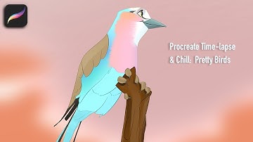 Drawing some pretty birds in Procreate - Digital Painting Chill Session