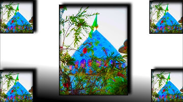 New💞Gaus Pak Status |11vi Sharif Whatsapp Status |Ghous Pak Status |Gyarvi Gause Azam Status#shorts​