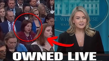 Karoline Leavitt Turned A Dumb Question Into Total Embarrassment